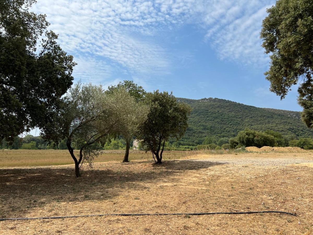 Mas Grenadine, Magnifique Villa Du Piemont Cevenol Sauve Exteriér fotografie