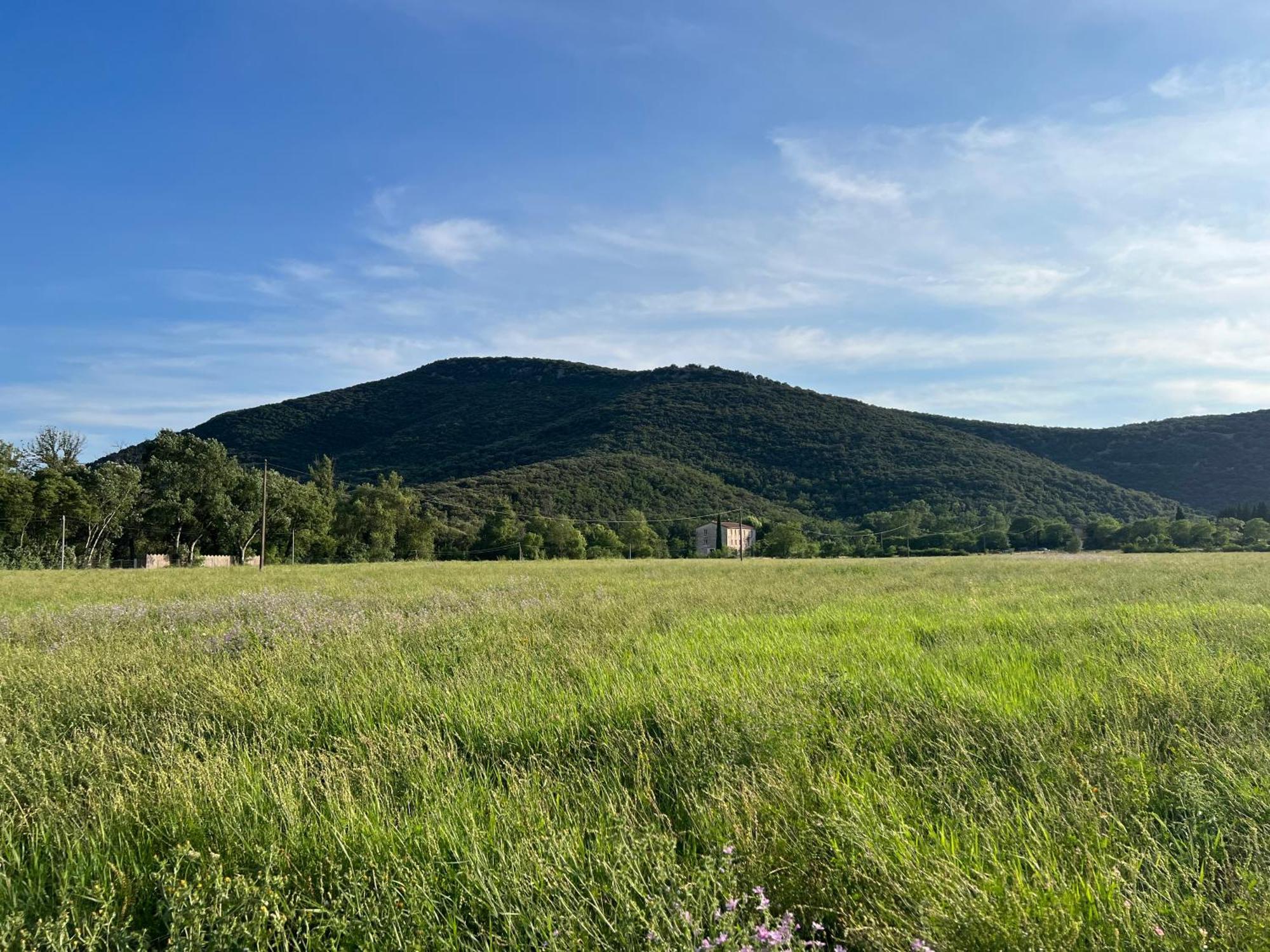 Mas Grenadine, Magnifique Villa Du Piemont Cevenol Sauve Exteriér fotografie